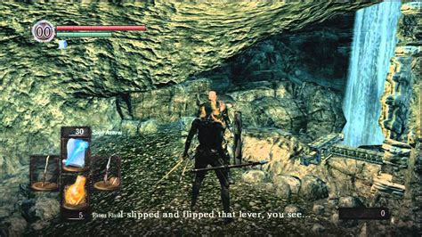 patches dark souls 2|Patches the Hyena .